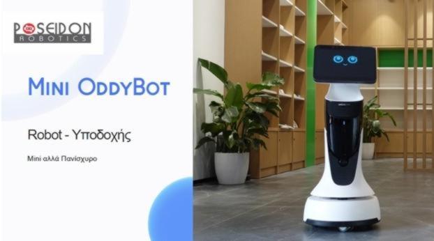Mini OddyBot - Robot 